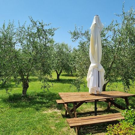 Agriturismo Melariano Villa Castelnuovo Berardenga Eksteriør billede