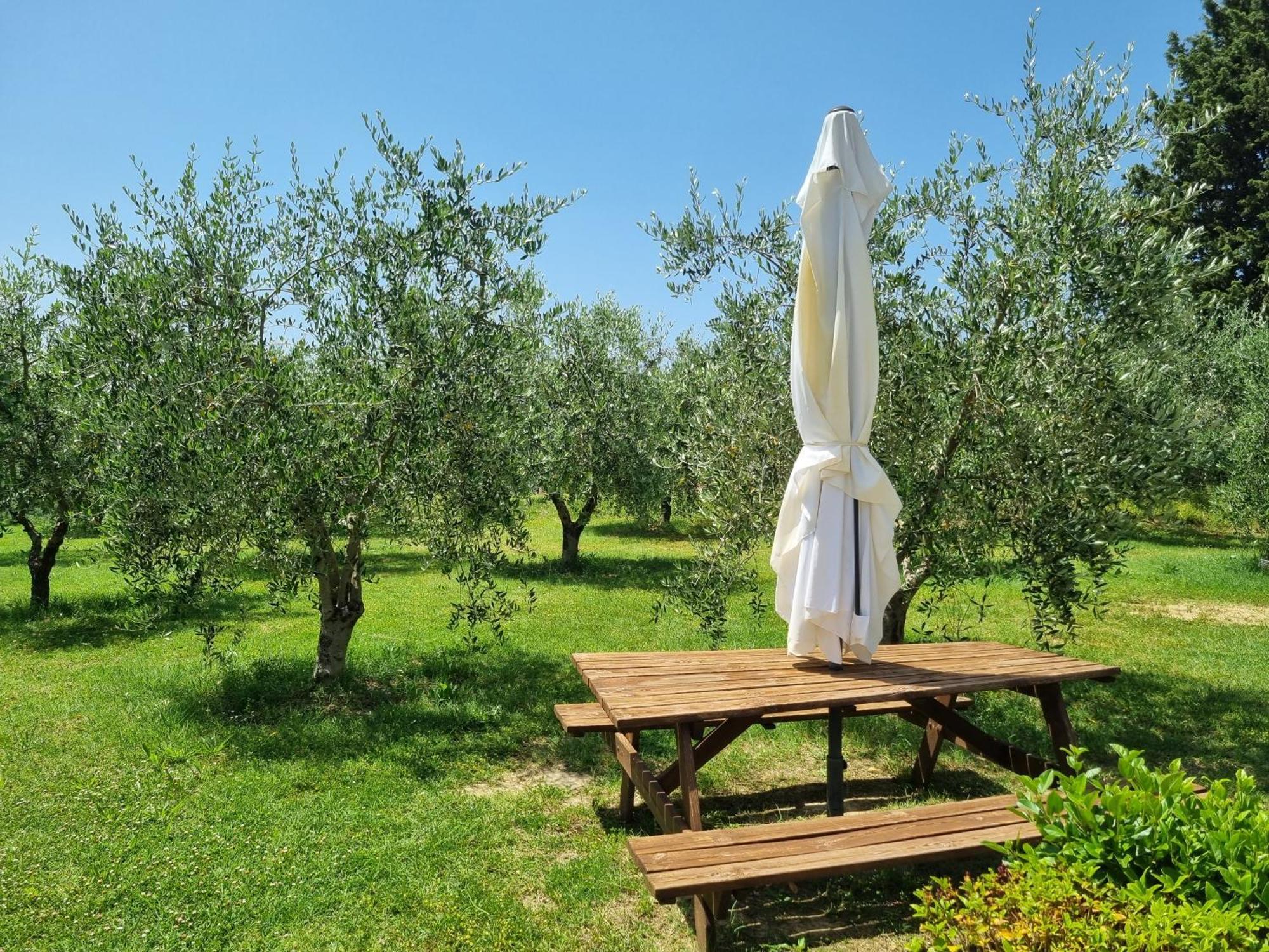 Agriturismo Melariano Villa Castelnuovo Berardenga Eksteriør billede