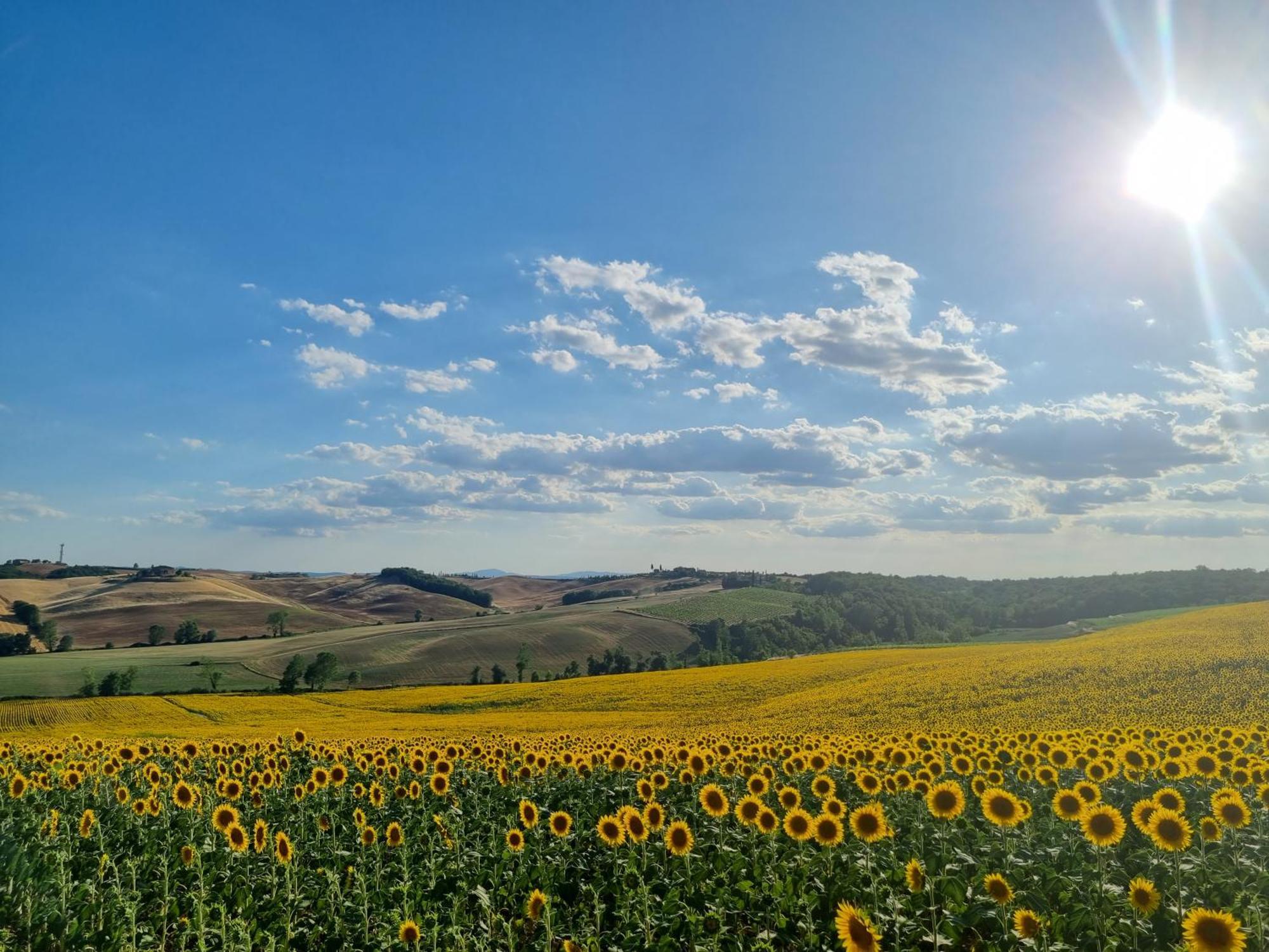 Agriturismo Melariano Villa Castelnuovo Berardenga Eksteriør billede