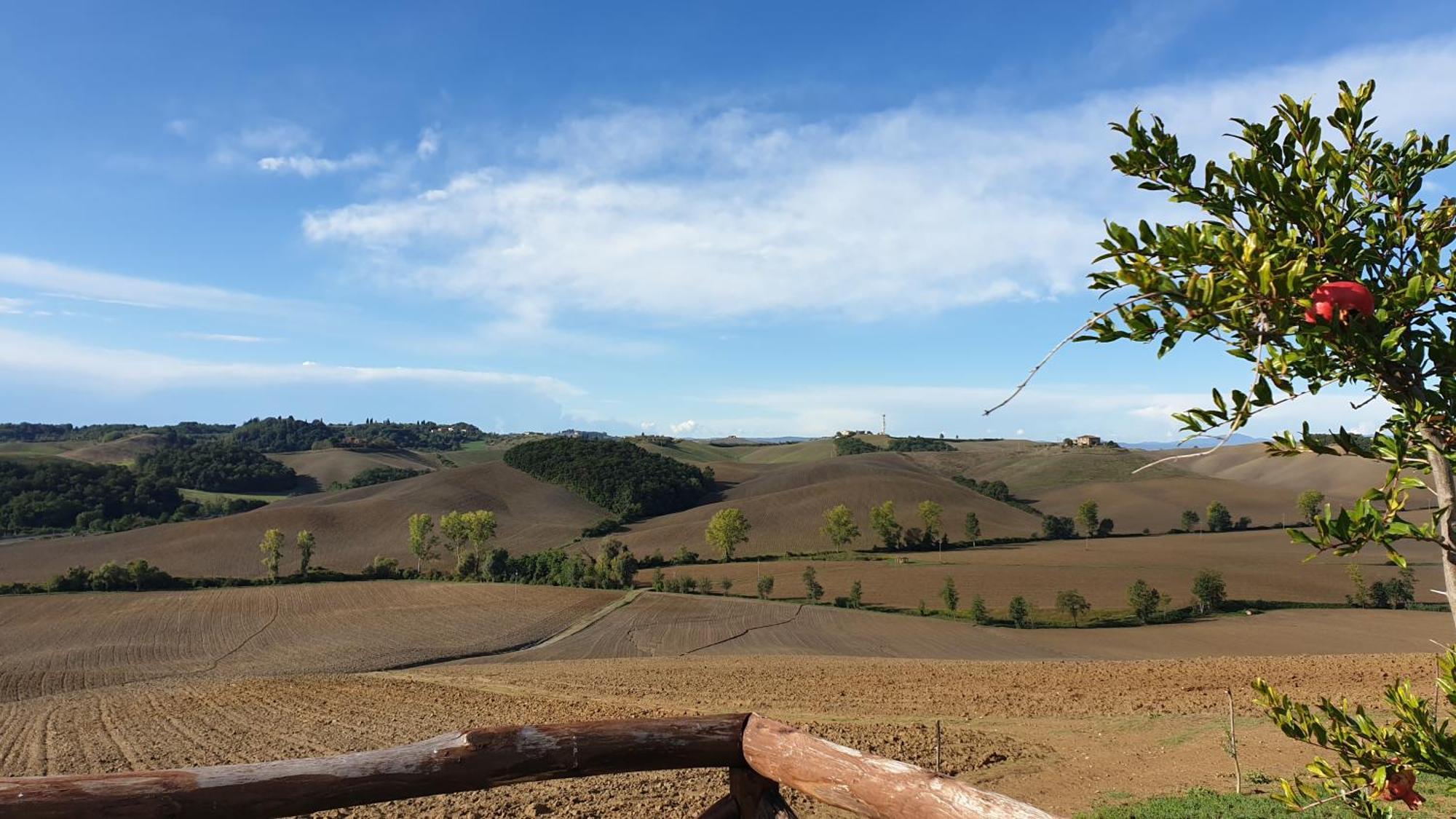 Agriturismo Melariano Villa Castelnuovo Berardenga Eksteriør billede