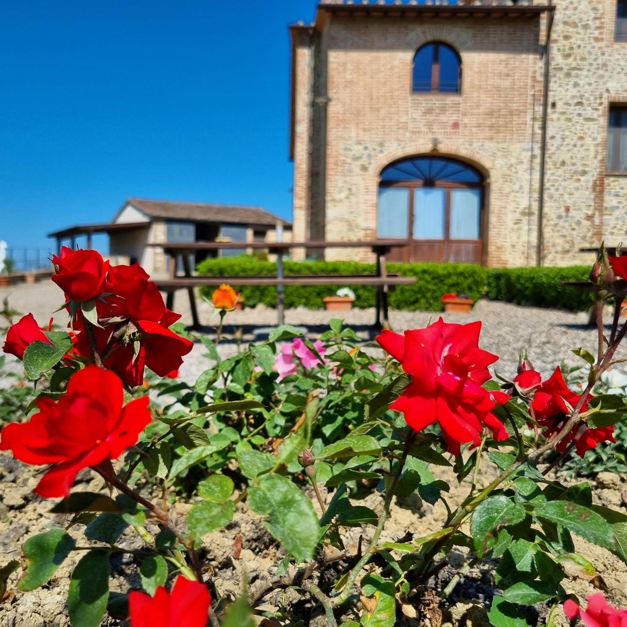 Agriturismo Melariano Villa Castelnuovo Berardenga Eksteriør billede